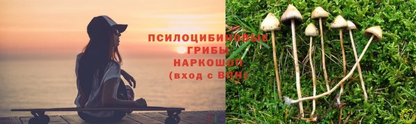 каннабис Алексеевка