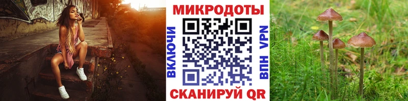 МЕГА ССЫЛКА  shop Telegram  Псилоцибиновые грибы мухоморы  Жигулёвск 